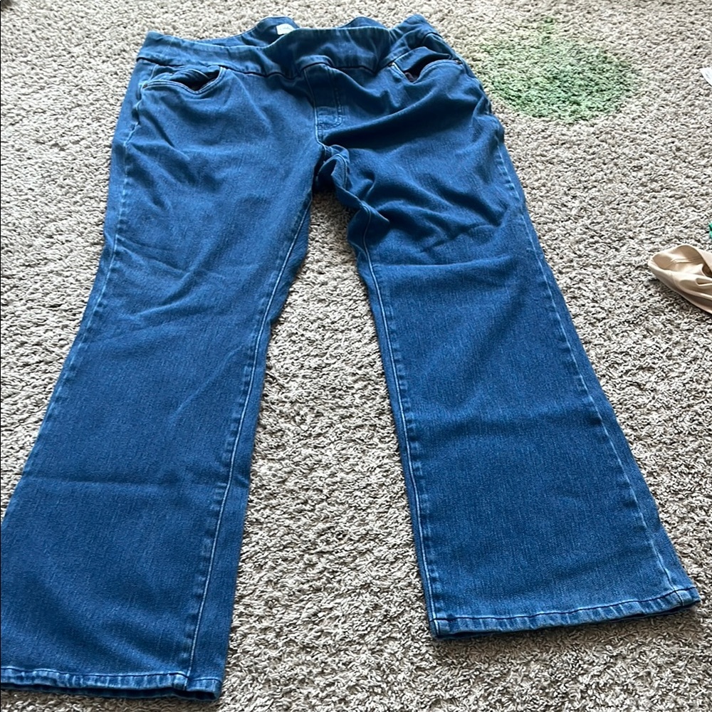 Coldwater Creek Blue Flare Wide Leg Jeans